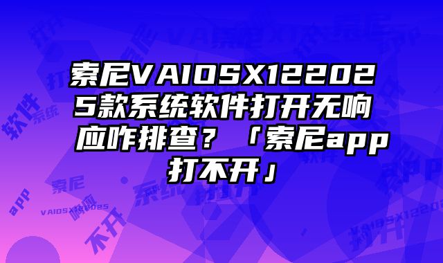 索尼VAIOSX122025款系统软件打开无响应咋排查？「索尼app打不开」