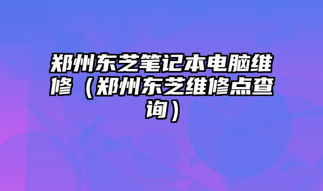 郑州东芝笔记本电脑维修（郑州东芝维修点查询）