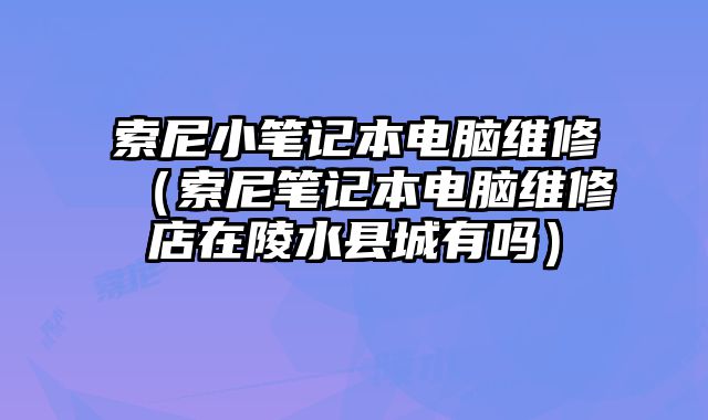 索尼小笔记本电脑维修（索尼笔记本电脑维修店在陵水县城有吗）