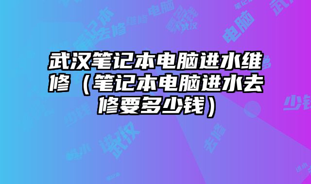 武汉笔记本电脑进水维修（笔记本电脑进水去修要多少钱）