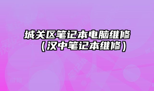 城关区笔记本电脑维修（汉中笔记本维修）