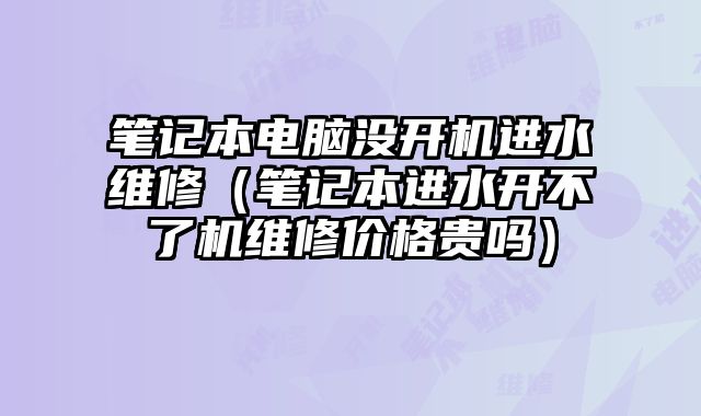 笔记本电脑没开机进水维修（笔记本进水开不了机维修价格贵吗）