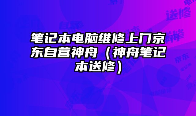 笔记本电脑维修上门京东自营神舟（神舟笔记本送修）