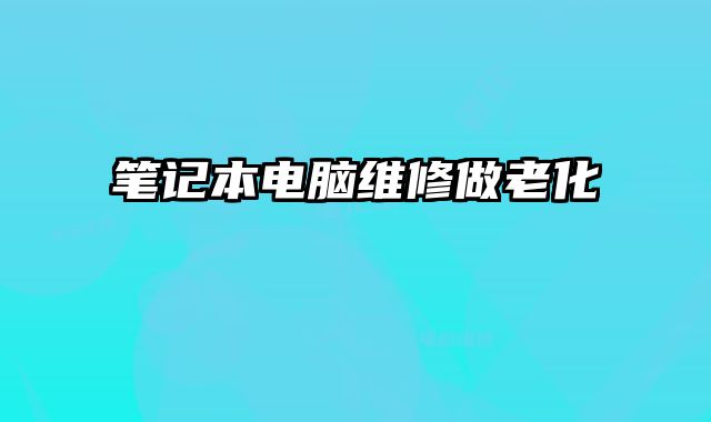 笔记本电脑维修做老化