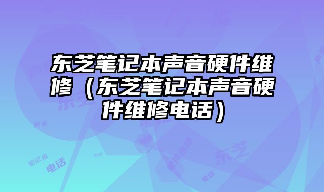 东芝笔记本声音硬件维修（东芝笔记本声音硬件维修电话）