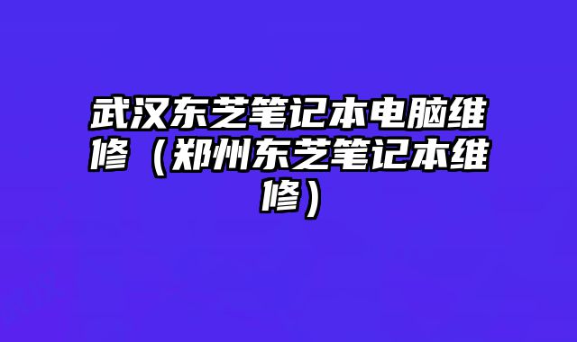 武汉东芝笔记本电脑维修（郑州东芝笔记本维修）