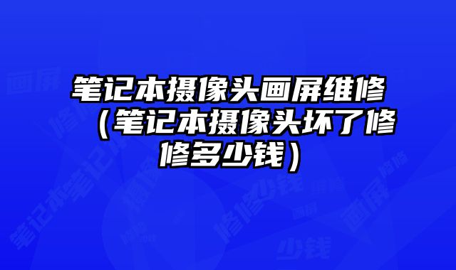 笔记本摄像头画屏维修（笔记本摄像头坏了修修多少钱）