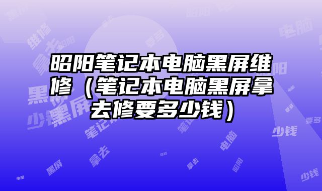 昭阳笔记本电脑黑屏维修（笔记本电脑黑屏拿去修要多少钱）