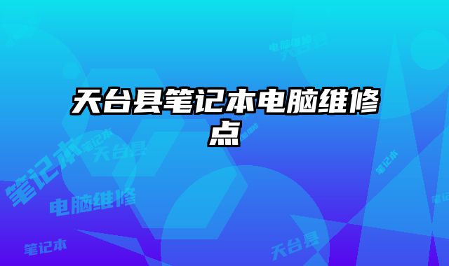 天台县笔记本电脑维修点