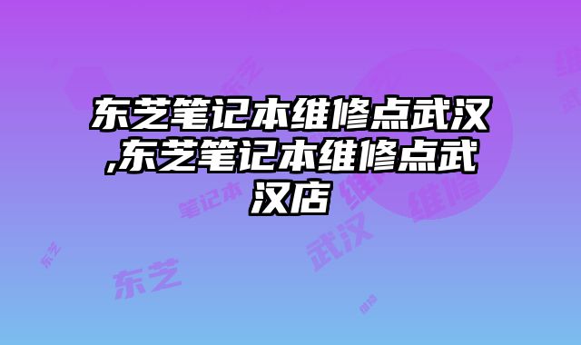 东芝笔记本维修点武汉,东芝笔记本维修点武汉店