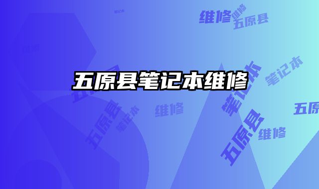 五原县笔记本维修