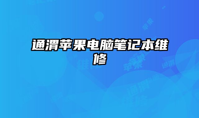 通渭苹果电脑笔记本维修