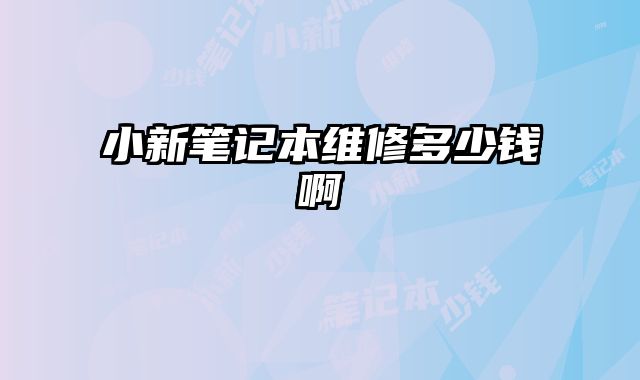 小新笔记本维修多少钱啊