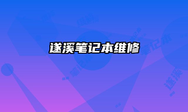 遂溪笔记本维修