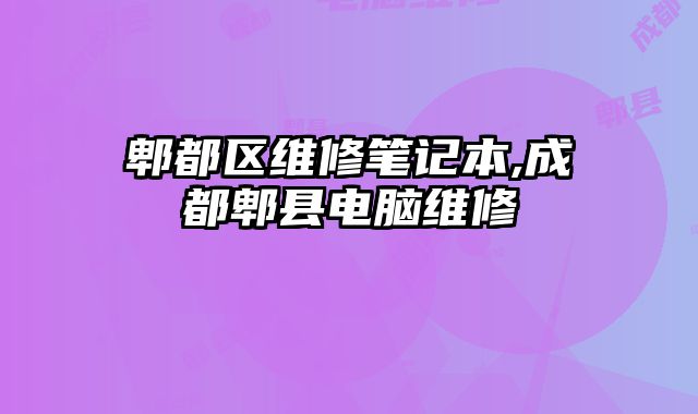 郫都区维修笔记本,成都郫县电脑维修